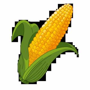 Раскраска кукуруза для детей #1 #361264