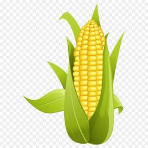 Раскраска кукуруза для детей #4 #361267