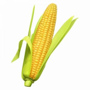 Раскраска кукуруза для детей #13 #361276