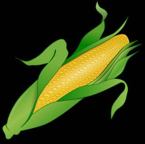 Раскраска кукуруза для детей #16 #361279