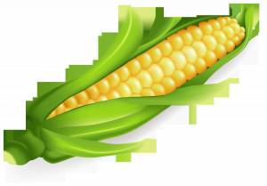 Раскраска кукуруза для детей #17 #361280