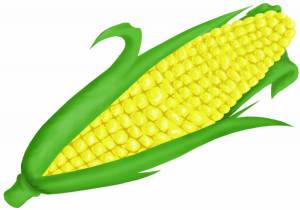 Раскраска кукуруза для детей #18 #361281