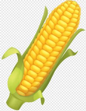Раскраска кукуруза для детей #19 #361282