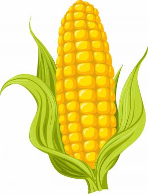 Раскраска кукуруза для детей #32 #361295