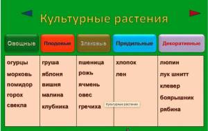 Раскраска культурные растения #10 #361474