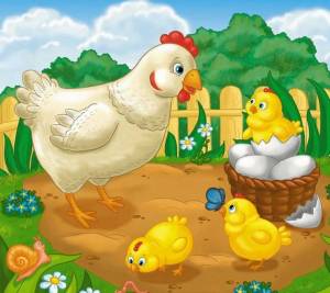 Раскраска курица с цыплятами для детей #1 #361941