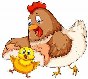 Раскраска курица с цыплятами для детей #2 #361942