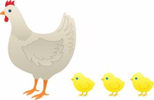 Раскраска курица с цыплятами для детей #5 #361945