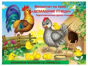 Раскраска курица с цыплятами для детей #7 #361947