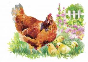 Раскраска курица с цыплятами для детей #8 #361948
