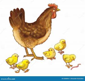 Раскраска курица с цыплятами для детей #9 #361949