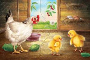 Раскраска курица с цыплятами для детей #13 #361953