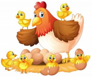 Раскраска курица с цыплятами для детей #14 #361954