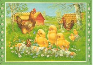 Раскраска курица с цыплятами для детей #16 #361956