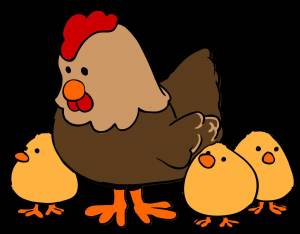 Раскраска курица с цыплятами для детей #20 #361960