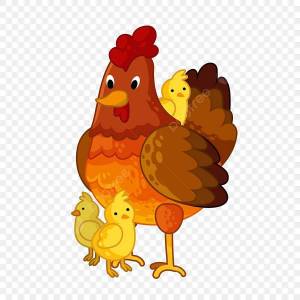 Раскраска курица с цыплятами для детей #23 #361963