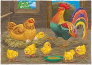 Раскраска курица с цыплятами для детей #27 #361967