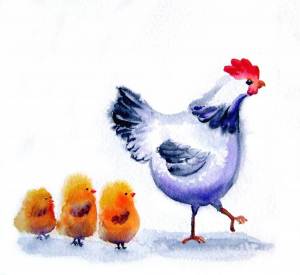 Раскраска курица с цыплятами для детей #28 #361968