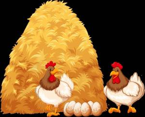 Раскраска курица с цыплятами для детей #30 #361970