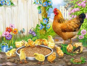 Раскраска курица с цыплятами для детей #32 #361972