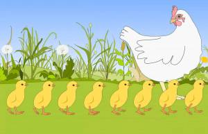 Раскраска курица с цыплятами для детей #33 #361973