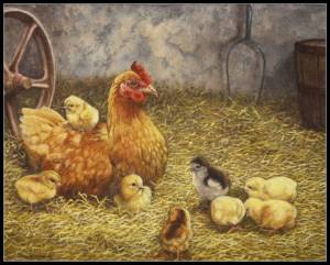 Раскраска курочка с цыплятами #34 #362430