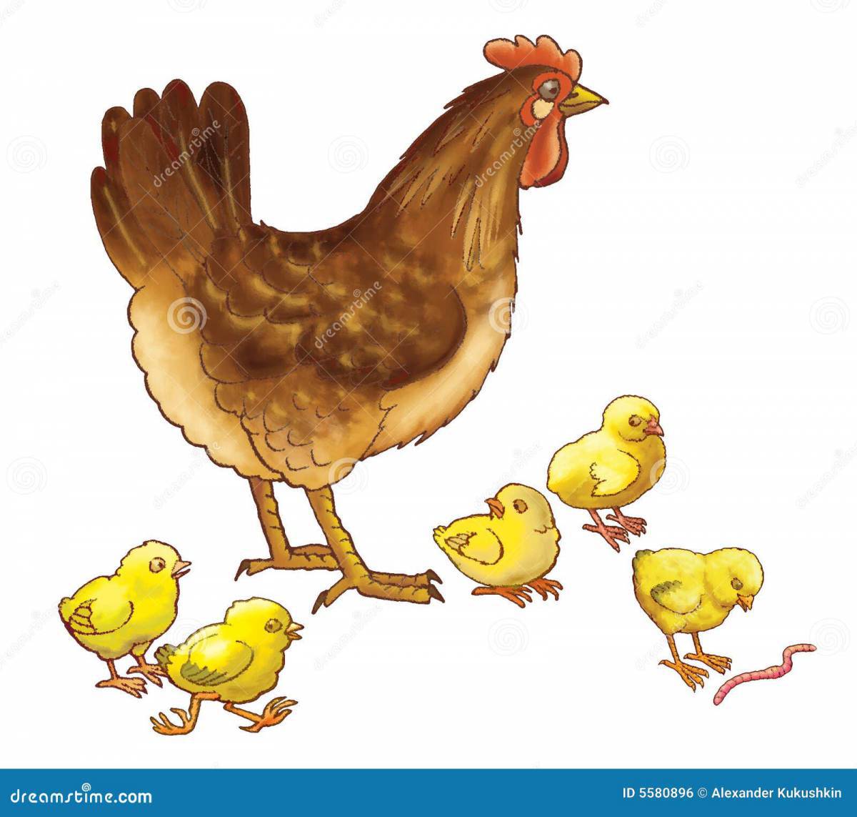 Курица с цыплятами для детей #9