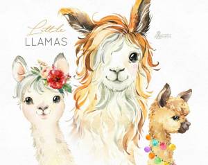 Раскраска лама для детей #32 #364552