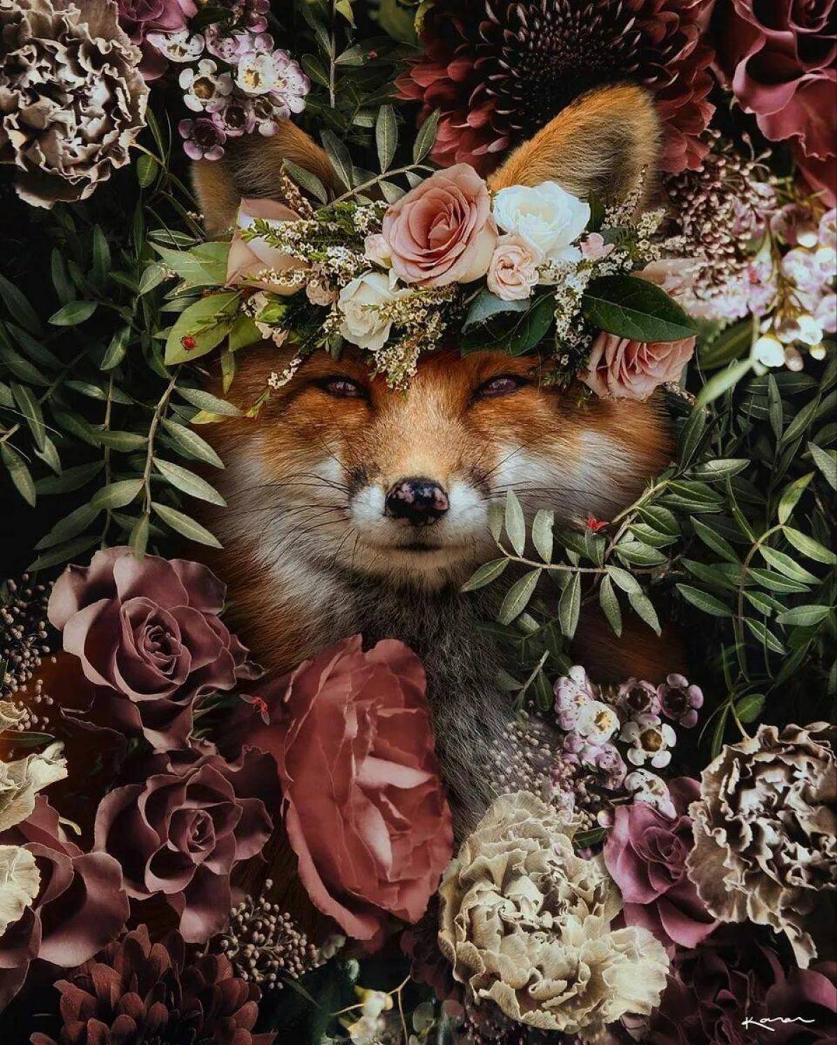 Flower foxes. Животные в цветах. Картина по номерам лиса в цветах. Лиса в цветах. Лисичка в цветах.