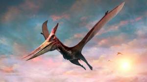 Раскраска летающий динозавр #12 #369790