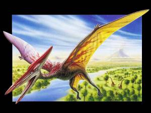 Раскраска летающий динозавр #14 #369792