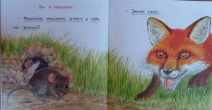 Раскраска лис и мышонок #30 #370672