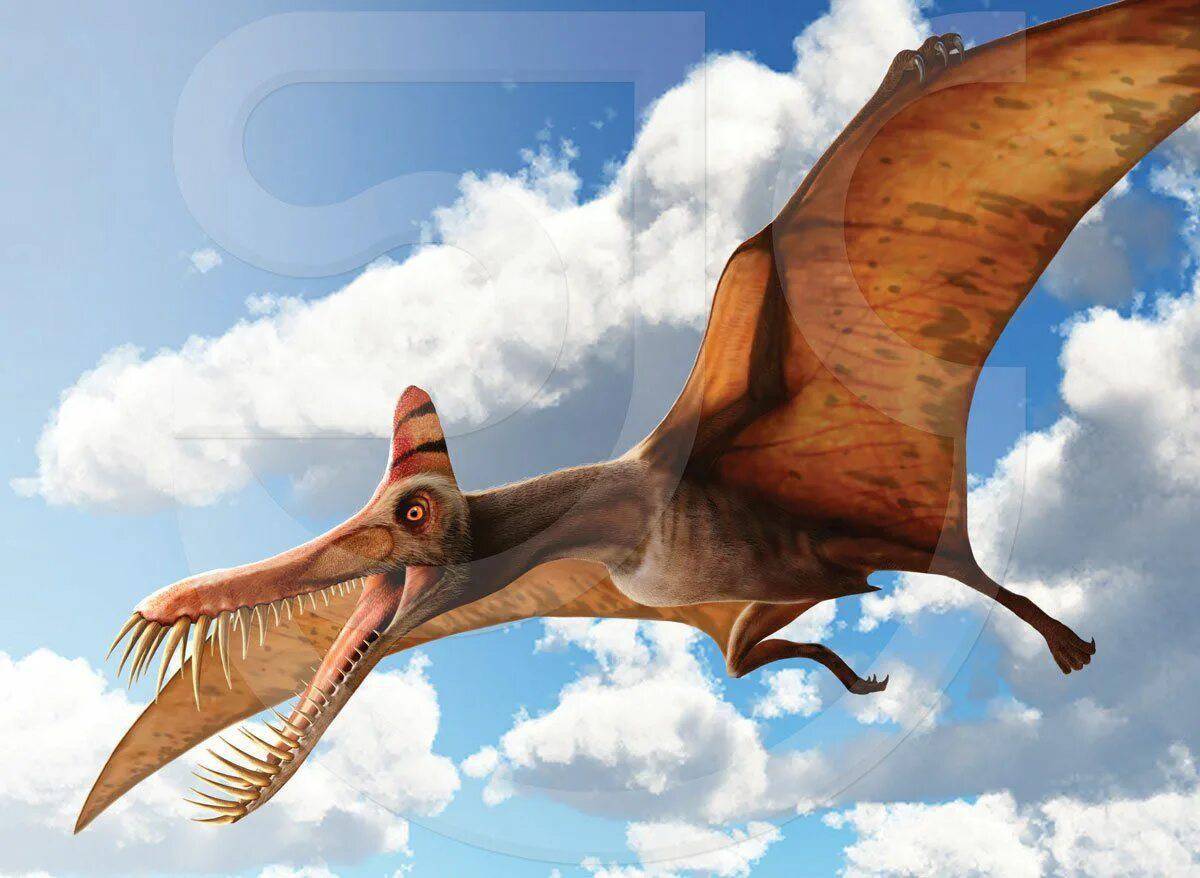 Летающий динозавр #1