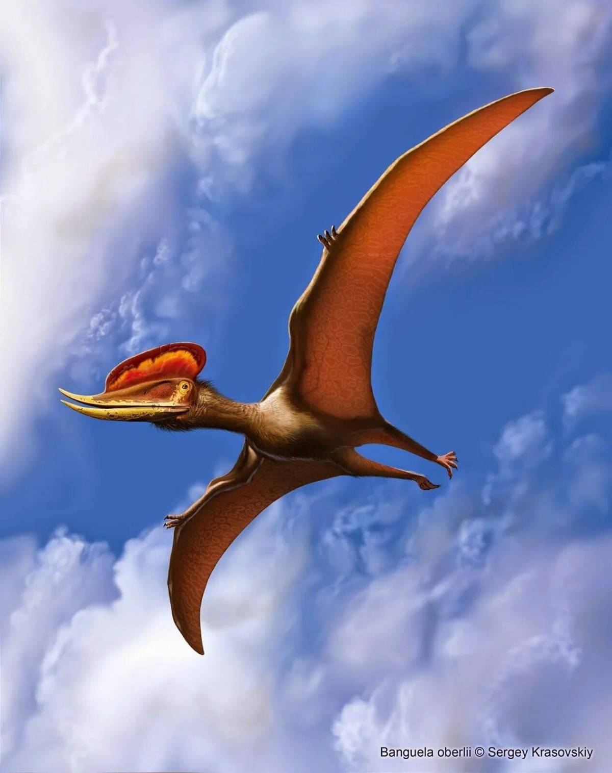 Летающий динозавр #5