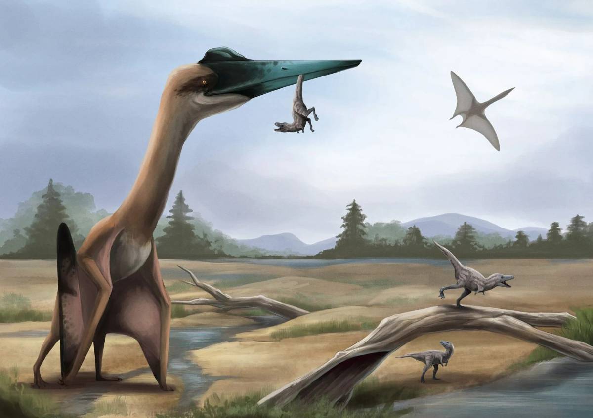 Летающий динозавр #8
