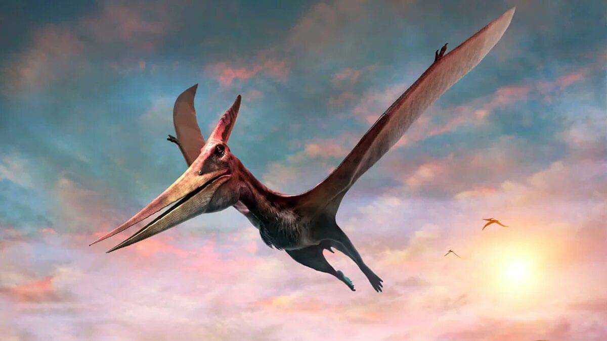 Летающий динозавр #12
