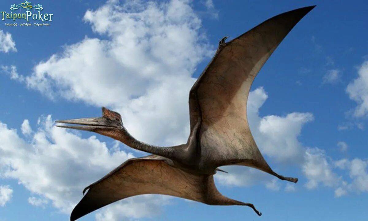Летающий динозавр #13