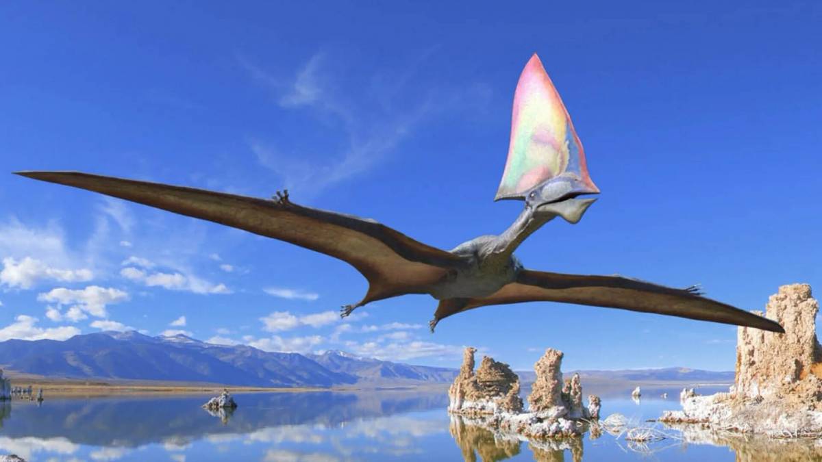 Летающий динозавр #15
