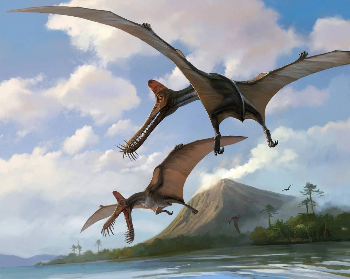 Летающий динозавр #16