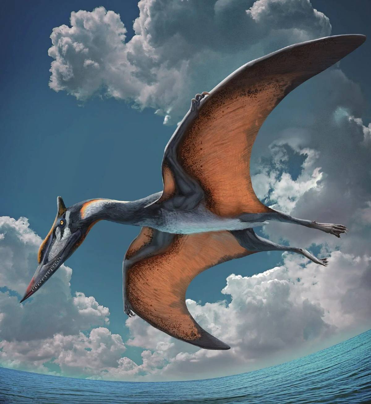 Летающий динозавр #18