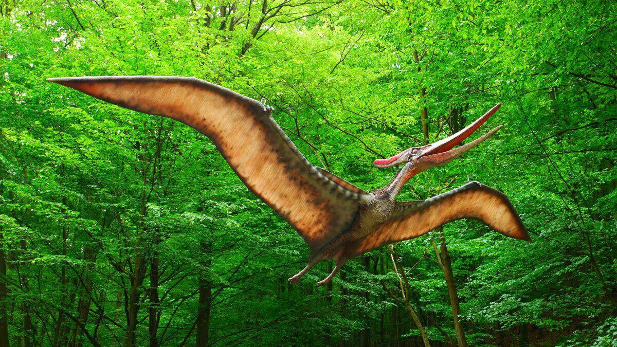 Летающий динозавр #19