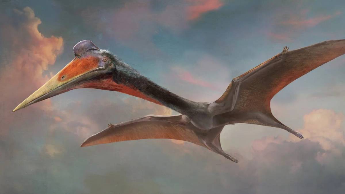 Летающий динозавр #28