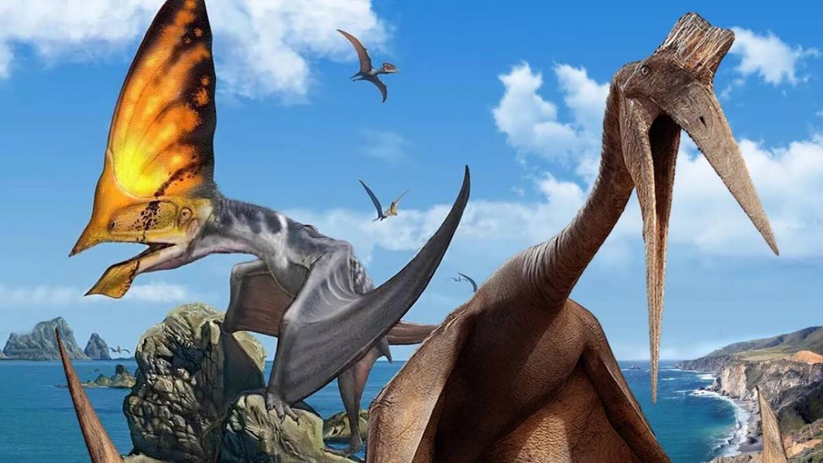 Летающий динозавр #30