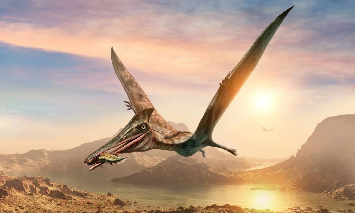 Летающий динозавр #37