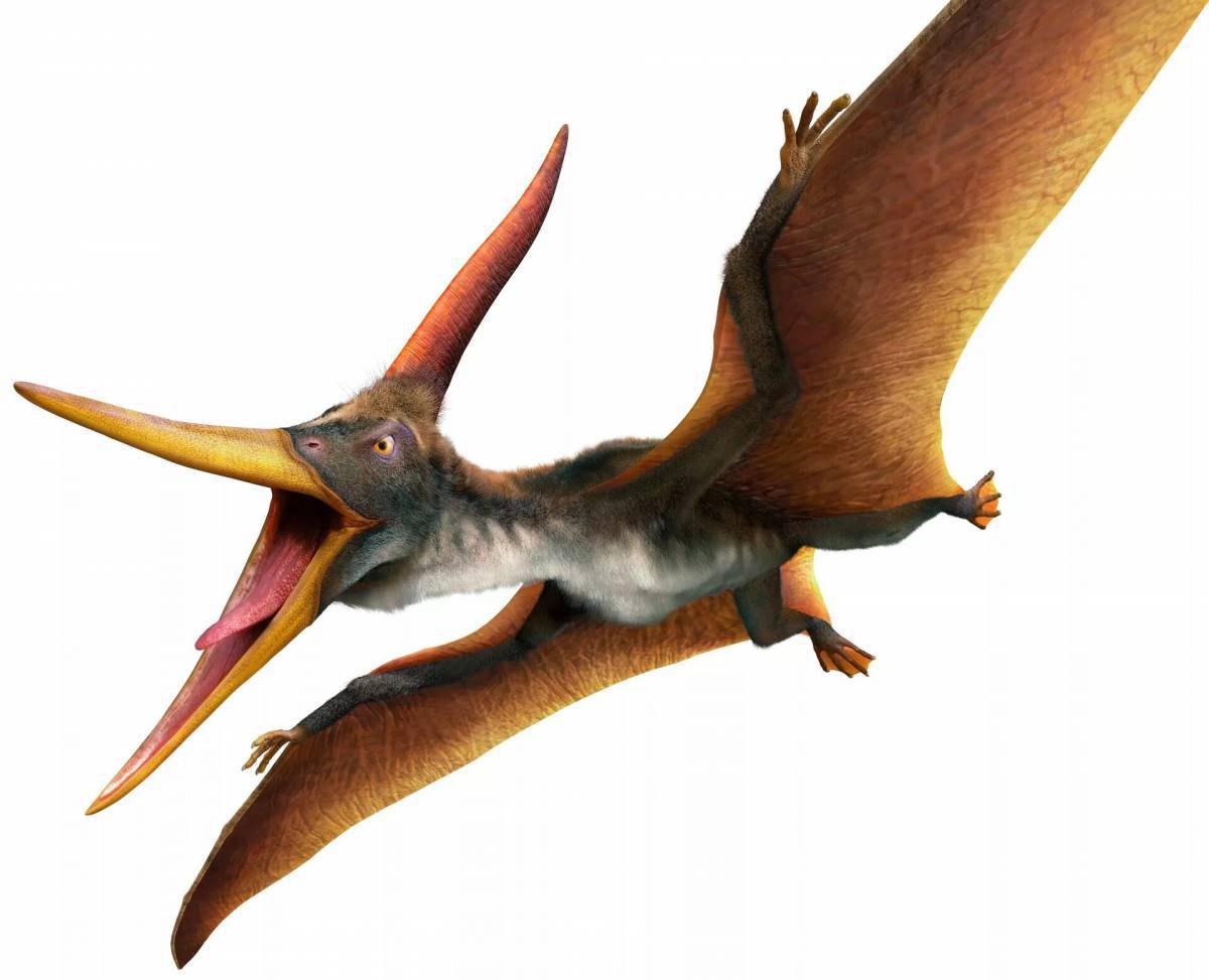 Летающий динозавр #38