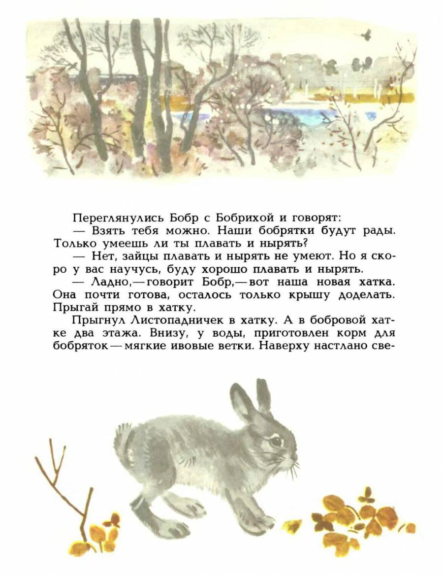 Аннотация к рассказу листопадничек. Зайцы листопаднички. заяц листопадничек. листопадничек иллюстрации.