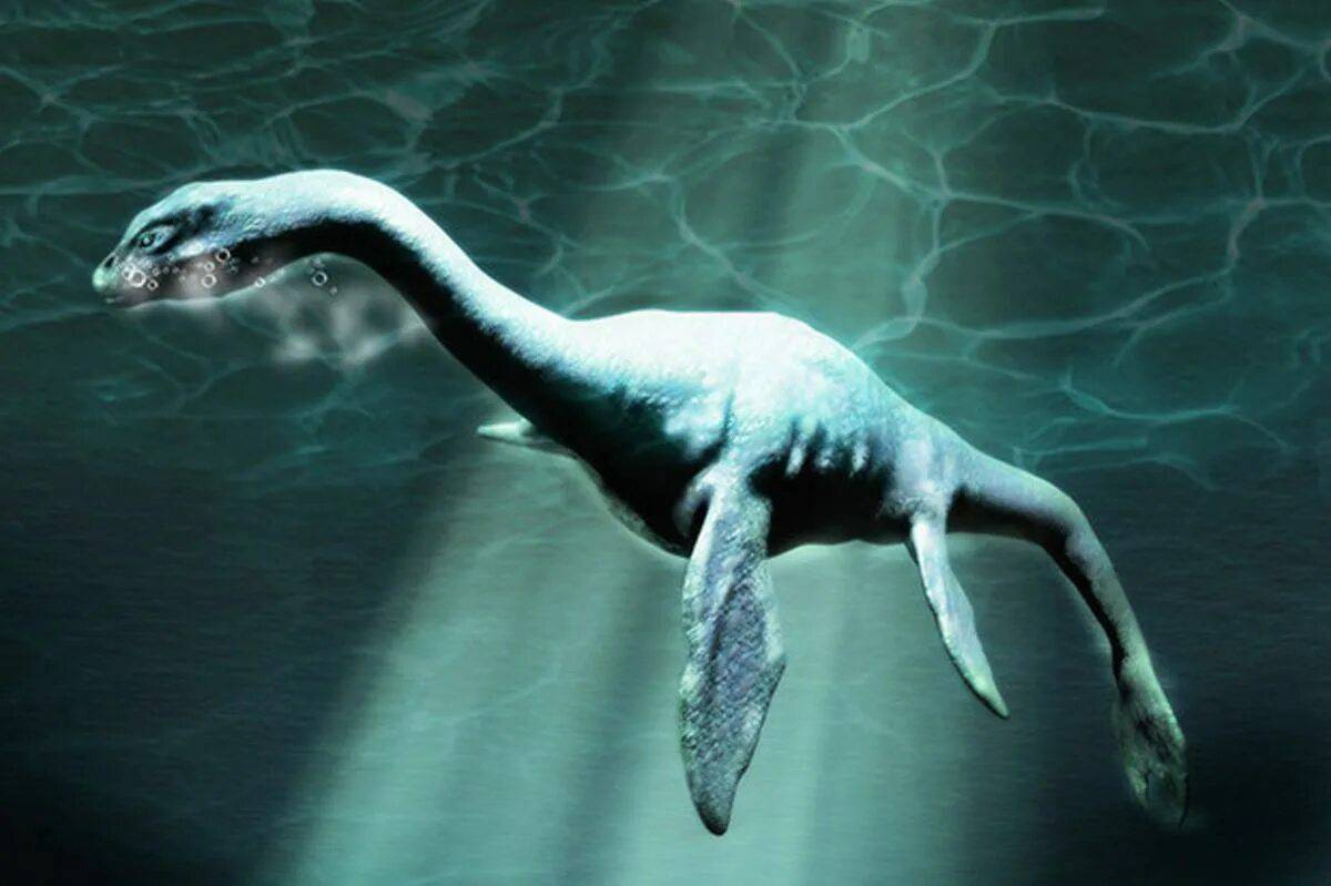 The loch ness monster has a. Несси Лохнесское чудовище. Озеро Лохнесс и Лохнесское чудовище. Плезиозавр озеро Лохнесс. Плезиозавр Лохнесское чудовище.