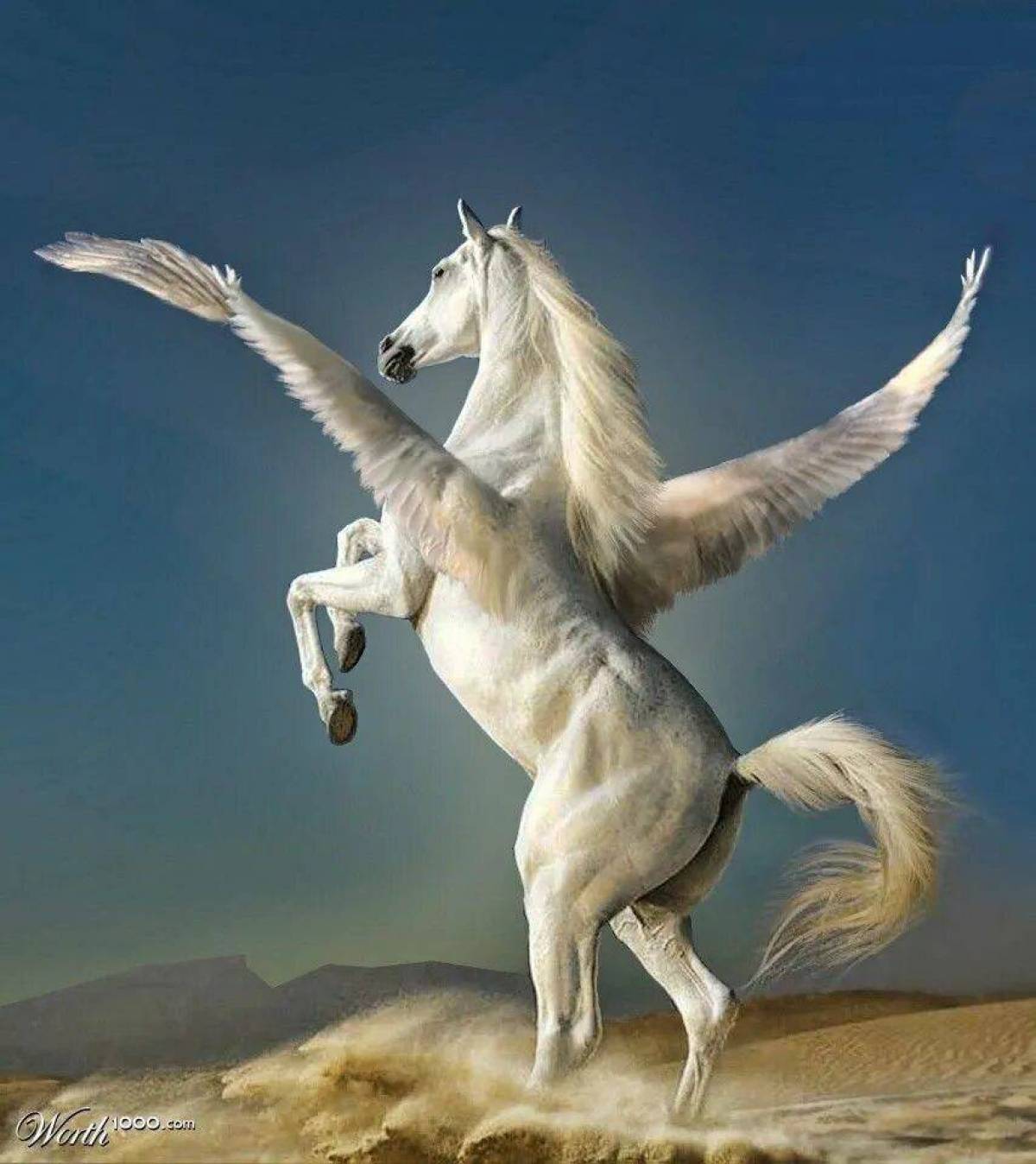 Наездник пегаса сканворд. Пегас Единорог. Лошади Единороги пегасы. Белая лошадь. Пегас конь.