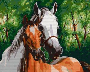 Раскраска лошадь по номерам #2 #375042