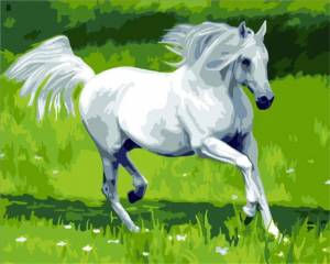 Раскраска лошадь по номерам #9 #375049